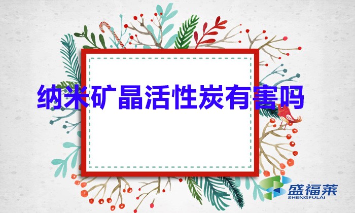 纳米矿晶活性炭有害吗