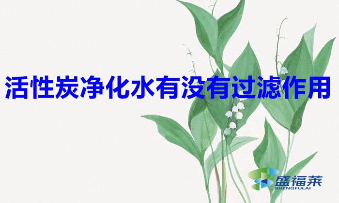 活性炭净化水有没有过滤作用(活性炭在净水行业的应用)