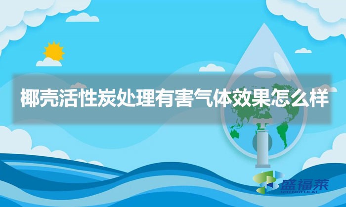 椰壳活性炭处理有害气体效果怎么样(椰壳活性炭能否用来处理有害气体)