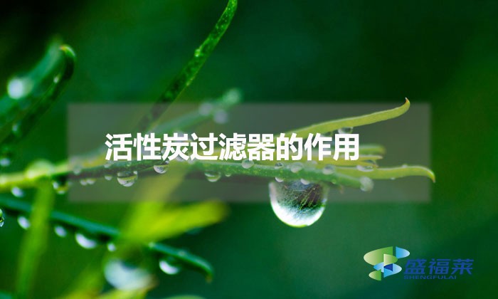 活性炭过滤器的作用(活性炭过滤器的应用)