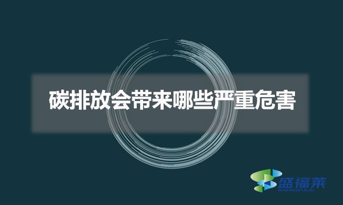 碳排放会带来哪些严重危害(碳排放对环境的影响)