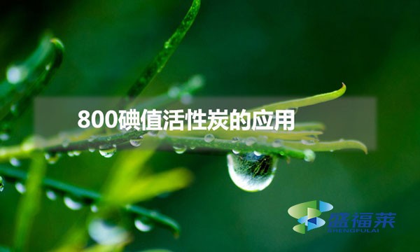 800碘值活性炭的应用(碘值800的活性炭比表面积多少)