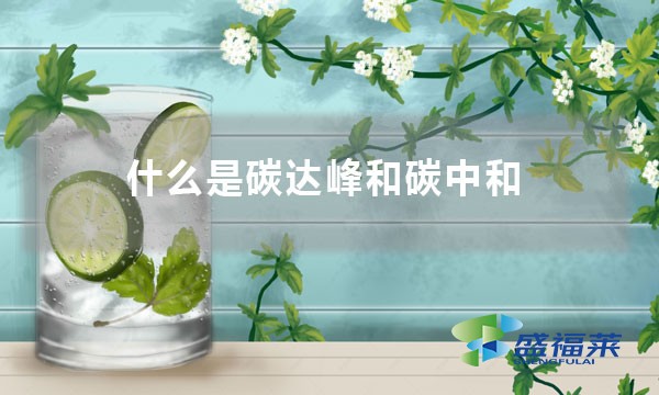 什么是碳达峰和碳中和