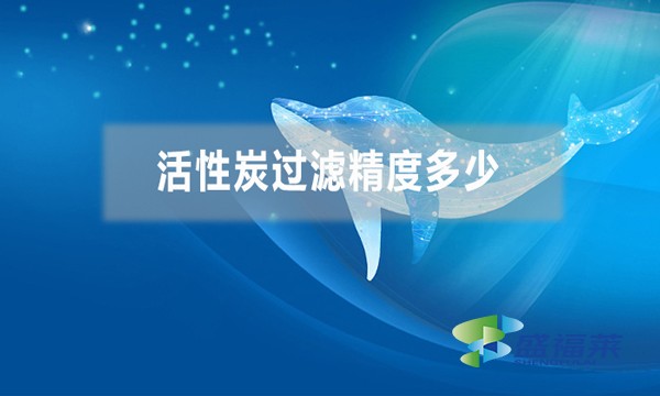 活性炭过滤精度多少,能过滤多大的杂质?