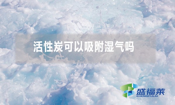 活性炭可以吸附湿气吗 为什么?