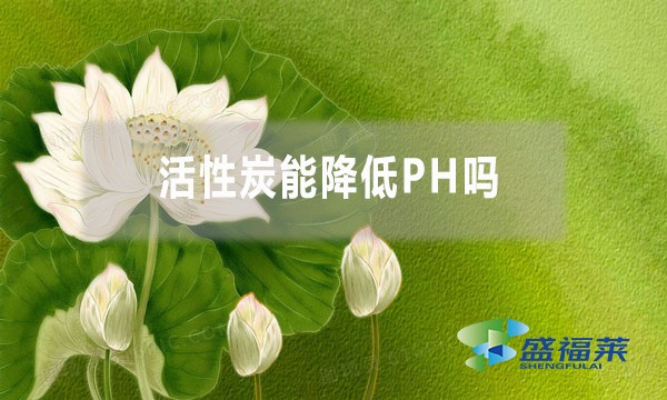 活性炭能降低PH吗?为什么?