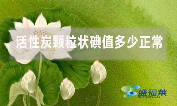 活性炭颗粒状碘值多少正常?