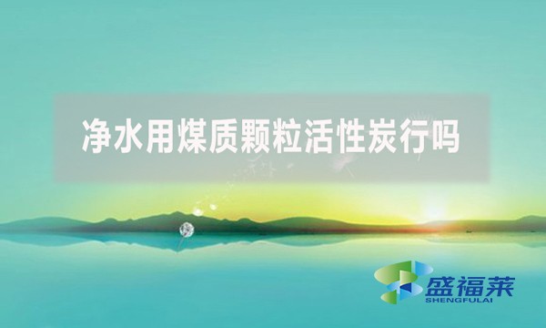 净水用煤质颗粒活性炭行吗?