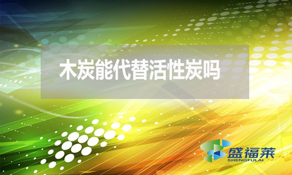 木炭能代替活性炭吗?为什麽 ?
