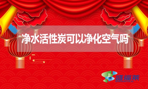 净水活性炭可以净化空气吗?为什么?