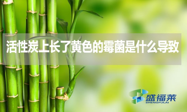 活性炭上长了黄色的霉菌是什么导致的?还能不能使用?