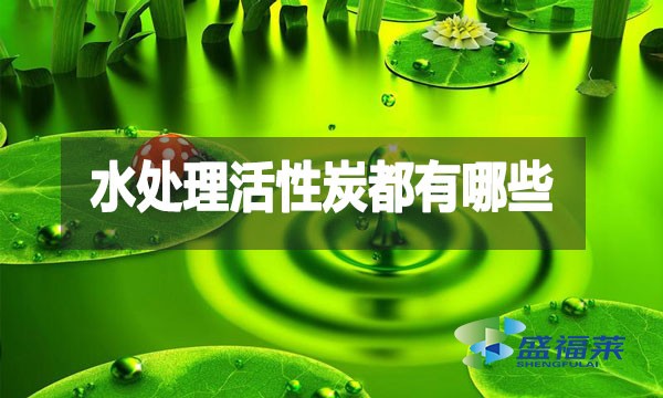 水处理活性炭都有哪些?