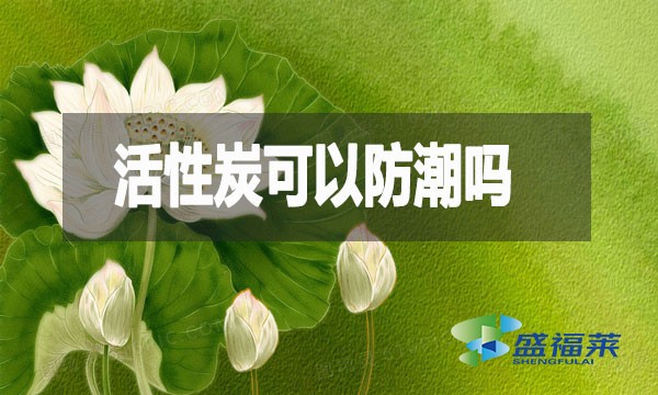 活性炭可以防潮吗?活性炭防潮防霉效果测试