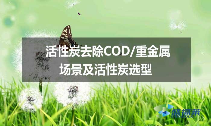 活性炭去除COD/重金属场景及活性炭选型
