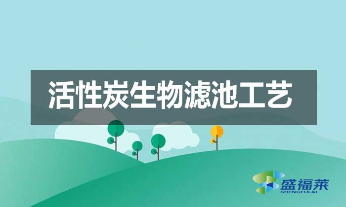 活性炭生物滤池工艺(BAC工艺升级案例)