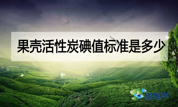 果壳活性炭碘值标准是多少?与其他活性炭相差多少?